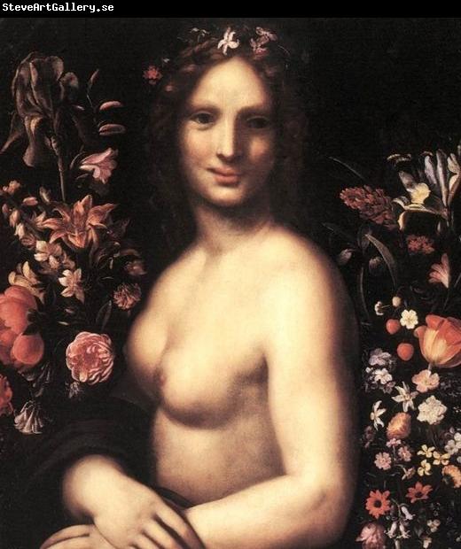 Carlo Antonio Procaccini Flora